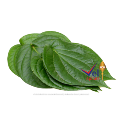 Betel Leaves Pack Fresh
